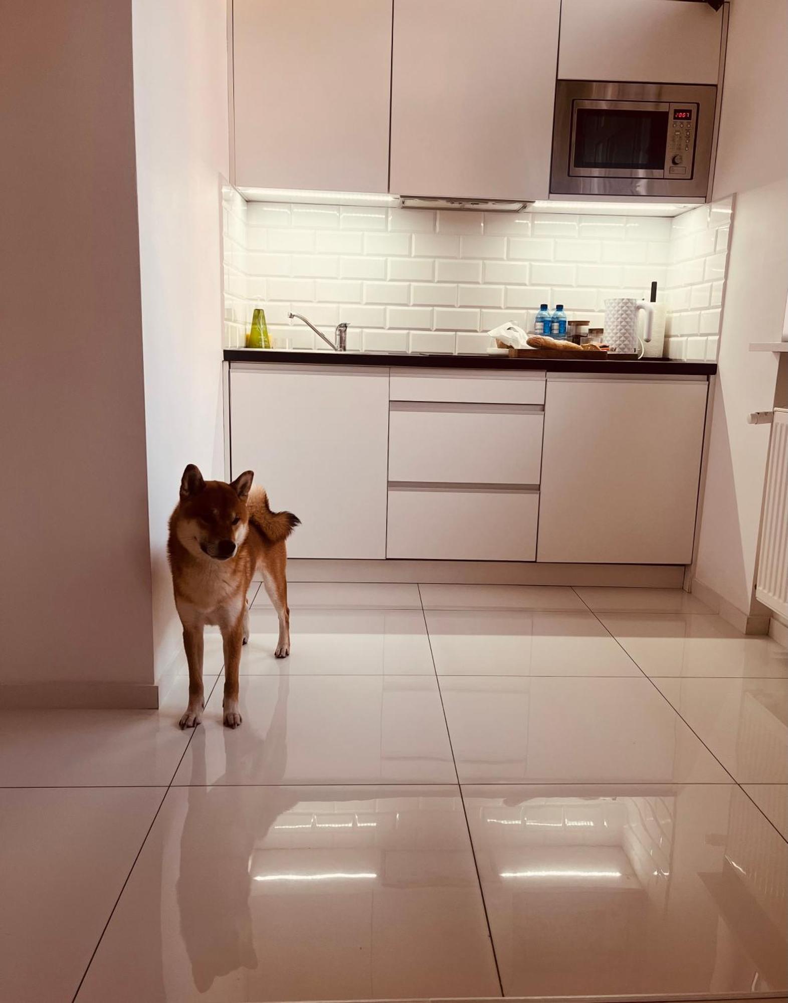 Apartament I Love Piotrkowska Z Wielkim Lustrem, Balkonem I Klimatyzacja Lódź Exterior foto